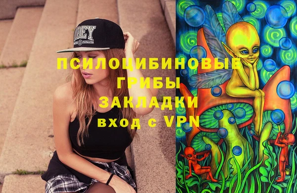 молекула духа Медвежьегорск