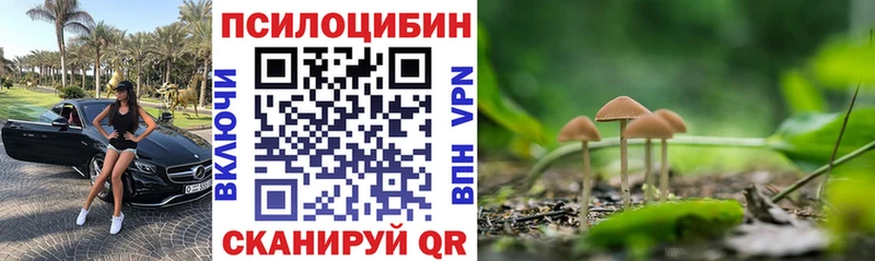 купить  сайты  Сыктывкар  Псилоцибиновые грибы мицелий 