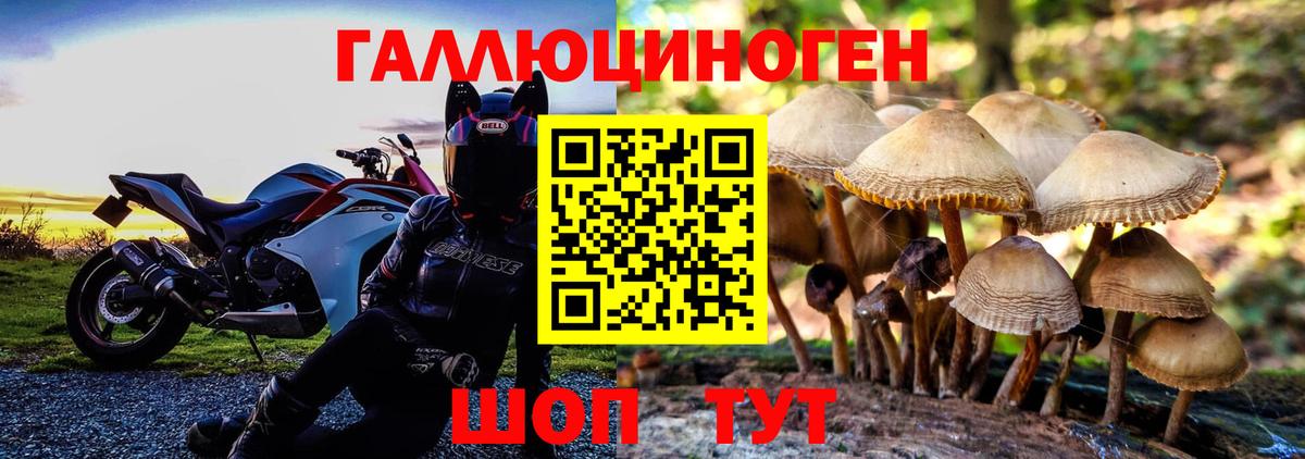 наркотики  Галлюциногенные грибы Cubensis  Вход с VPN  Сыктывкар 