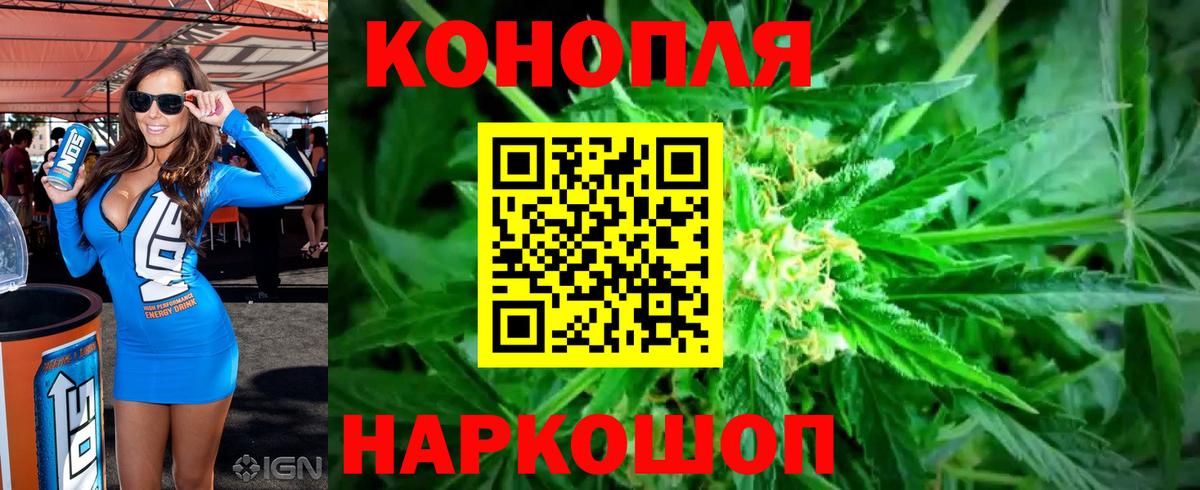 Сыктывкар  Марихуана тримм  Бошки марихуана семена  Вход с VPN  Конопля AK-47 